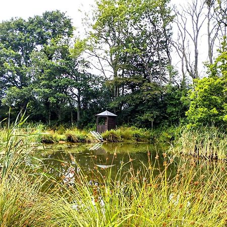 Peaceful Ensuite Lakeside Cabin 'Tench' Hadlow Down Экстерьер фото